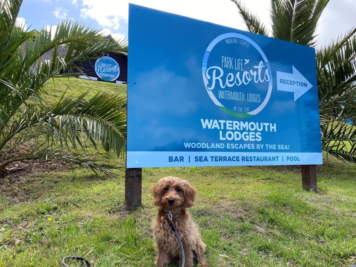 Watermouth Lodges Ilfracombe Kültér fotó